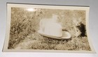 Rare Antique Vintage American Pet Kittens Hat Animal Snapshot Photo  Cute  1939 