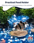 Pawfly 3 Pcs Shrimp Feeding Dish  Clear Glass Aquarium Shrimp Feeder  Transpa