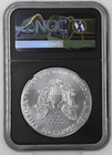 2017  p   1 American Silver Eagle Ngc Ms 70 Anna Cabral