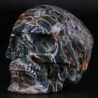 3 001  Ocean Jasper Carved Crystal Skull  Realistic  Crystal Healing