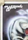 Vintage Original Whitesnake Come An  Get It Poster 24  X 24 