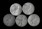 Peace Silver Dollars Lot Of 5 Nice Coins  Some Uncs 90  Silver  5 Face 