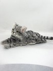 Handmade Wool Felt Lying Cat Figurine Sleeping Cat Art Doll Cute
