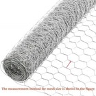 50 150feet 2  Holes Galvanized Poultry Net - Metal Fencing   Chicken Wire