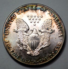 1988 American Silver Eagle  1 Dollar Natural Toning 1 Oz 999fine Silver Unc Coin