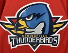 Ccm Springfield Thunderbirds Ahl Hockey Jersey Size Large Red Nwt St Louis Blues
