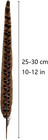 20pcs Natural Pheasant Feathers Pheasant Tails 10-12  For Crafts Hats Decor Cost