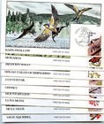 Wwlf Collins Cachet Fdc 2286-2335 Capex North American Wildlife Set Of 50 Covers