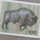 Lithuania 100 Talons Banknote P38 1991 Bison Rare Lithuanian Currency Ex-ussr