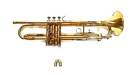 Trumpet Cornet Chemflush Brass Instrument Chemical Cleaning Service