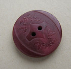 Vintage Vegetable Ivory Picture Button Holly Leaves Berries Plant Life 7 8 