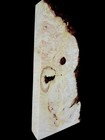 Xl Insanely Curly Birdseye White Maple Burl Wood  Live Edge Curly Maple  Burl 