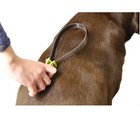 Dog And Cat Grooming Tools Double Side Dual Shedding Blade Remove Loose Hair Fur