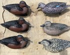 6 Avery Ghg   Gamewinner Lifesize Cinnamon Teal Duck Decoys Aqua- Keels