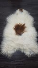 Icelandic Sheepskin Rug   Sheepskin Rug   Soft Silky Long Wool  c706