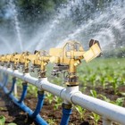 2-pack 1 2  Brass Impact Sprinkler Heads For Lawn   Garden Irrigation