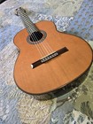 Excellent Cordoba Luthier C10cd Classical Acoustic Guitar 