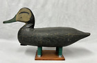 Nice Looking Vintage Black Duck Decoy Branded Hv Shourds -nj  chincotegaue Style