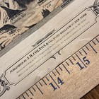 Original 1855 Colton s Hand Colored Map Chart Of Mountains   Rivers Of The World