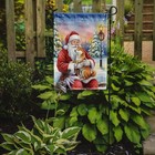 Caroline s Treasures Shiba Inu With Santa Claus Garden Flag Fnt1081gf