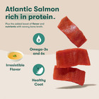 Salmon Grain Free Wet Dog Food Toppers  Meal Or Mix With Dry Dog Food  Made With