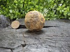 Old Rare Vintage Antique Civil War Relic Confederate Canister Shot Appomattox Va