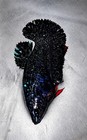 Breeding Pair Avatar Vampire Stardust  St7 Live Betta Fish  Imported From Thai