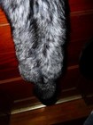 Huge Beautiful Tanned Silver Fox Fur Pelt Skin Taxidermy S3 Man Cave Log Cabin