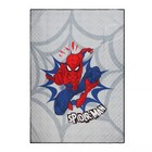 Marvel Spider-man Twin Quilt  Sham   Microfiber 3-piece Sheet Set New In Package