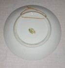 Vintage Blue Hole Castalia Ohio Souvenir Plate For Hanging