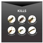 Eliminator Wasp And Hornet Killer3  17 Ounce  3 Pack   