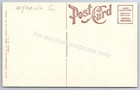 Perry  Ny  Town Hall Wyoming County - Vintage New York Postcard