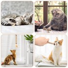 Bissap 10 Pcs Silvervine Chew Sticks For Cats  Catnip 10 Pcs  Natural