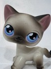 Littlest Pet Shop  5 Siamese Shorthair Brown White Blue Eye Cat Authentic Lps