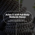 Avian X Axp Full Body Mallards Decoy  Ultra Realistic   Wind Activated  12 Pack