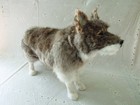 Large Vintage Real Fur Wolf Glass Eyes Approx 14  Long X 10  Tall - Beautiful