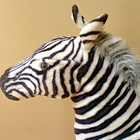 Melissa And Doug Xl Large Zebra Plush Stuffed Animal 36  Tall