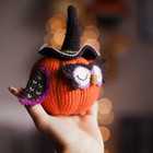 Handmade Crochet Owl Plush With Witch Hat  Amigurumi Pumpkin Halloween Toy