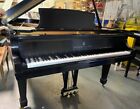 Steinway B Grand Piano - Free Delivery - Meticulous