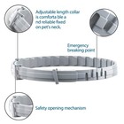 New Flea   Tick Treatment Collar Small Dogs - 8 Month Protection Us
