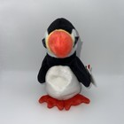 Puffer   Rocket Ty Beanie Baby Bird Set Mwmt 4181 4202 China Pe Pellets