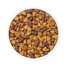 Purina Dog Chow With Real Beef Adult Complete   Balanced Dry Dog Food