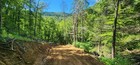 5ac Buildable   Pond  East Tn  No Restrictions