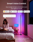 Smart Floor Lamp Rgbicww Voice app Controlled Works With Alexa  Apple Home   Goo