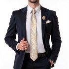  Mens Tie And Lapel Pin Set Silk Plaid Solid Paisley A-champagne Paisley