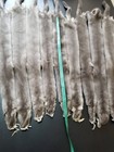 Mink Pelt In Gray Color  Mink Skin Gray  Mink Fur  Mink Hide  Gray Mink Fur