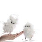 Pair Of Small 4-1 2  Tall White Fluffy Snowy Owl Friends With Amber Eyes