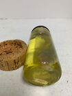 Shark Pup In A Bottle Jar Specimen Taxidermy Table Sculpture Galveston Souvenir