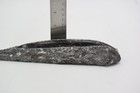Large Polished Orthoceras Fossil Specimen Morocco Cephalopod Ancient Display Vtg