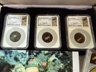 Ss Central America 2 51 g  4 Slabs  Plus Recovered Artifact W photo   Dbl-pinch